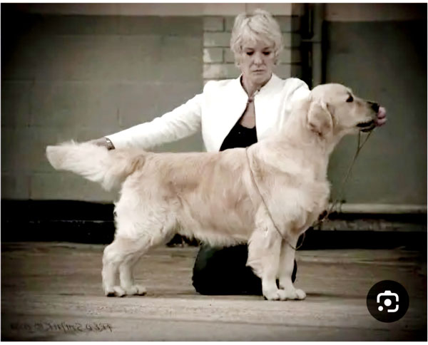 STANROPH ENDELWOOD NICOLAS