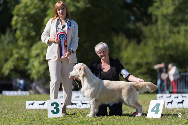 REFLET D EAU DU BOIS DE LA RAYERE
