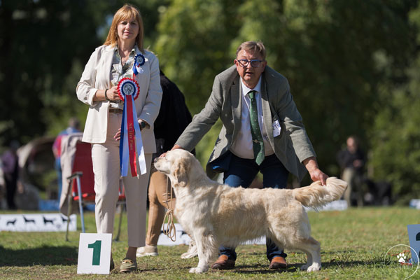 PURE POISON DU BOIS DE LA RAYERE