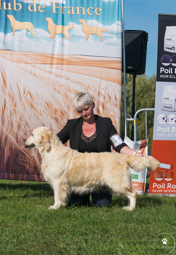 PURE POISON DU BOIS DE LA RAYERE
